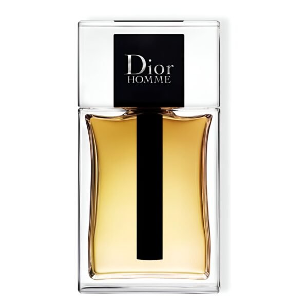 Dior Homme 100ml EDP